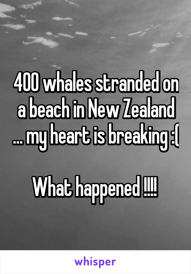 400 whales stranded on a beach in New Zealand ... my heart is breaking :( 
What happened !!!! 