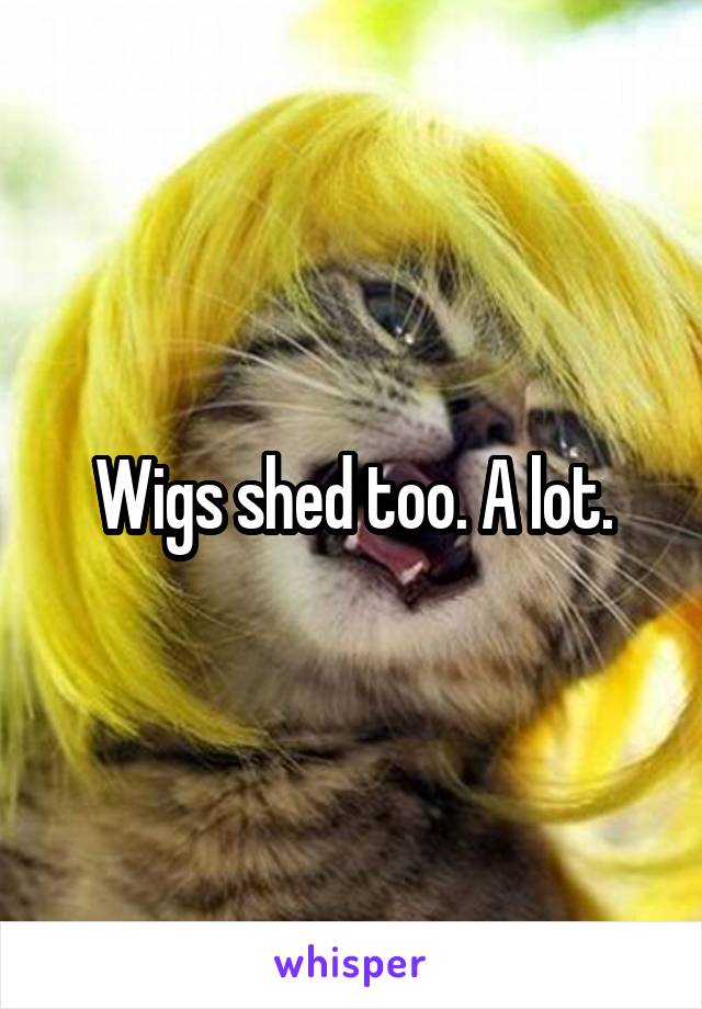 Wigs shed too. A lot.