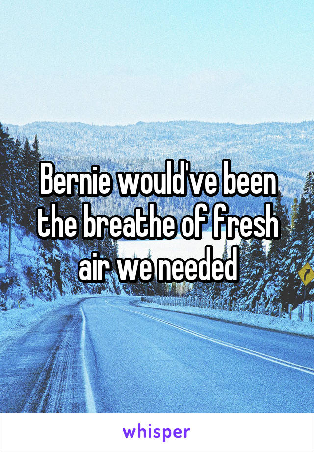 Bernie would've been the breathe of fresh air we needed