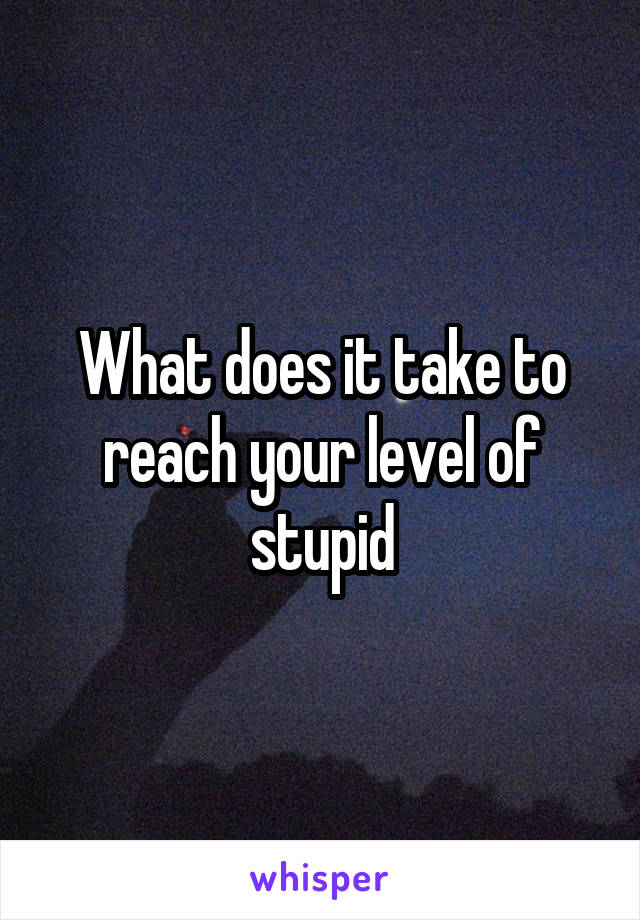 What does it take to reach your level of stupid