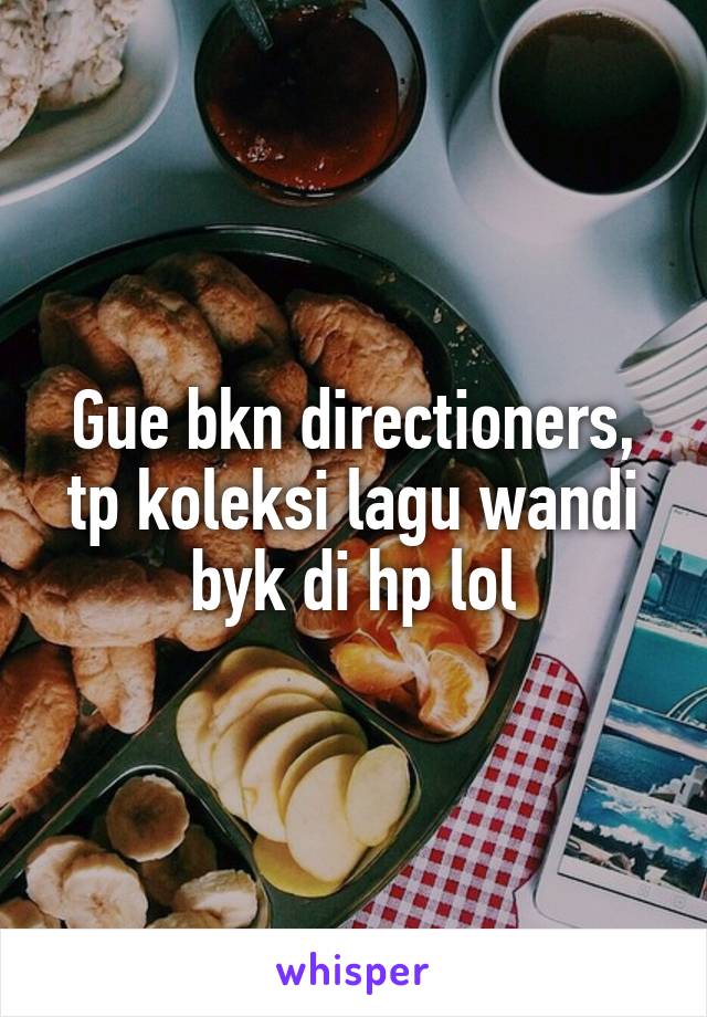 Gue bkn directioners, tp koleksi lagu wandi byk di hp lol