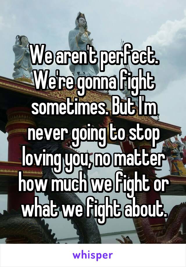 We aren't perfect. We're gonna fight sometimes. But I'm never going to stop loving you, no matter how much we fight or what we fight about.