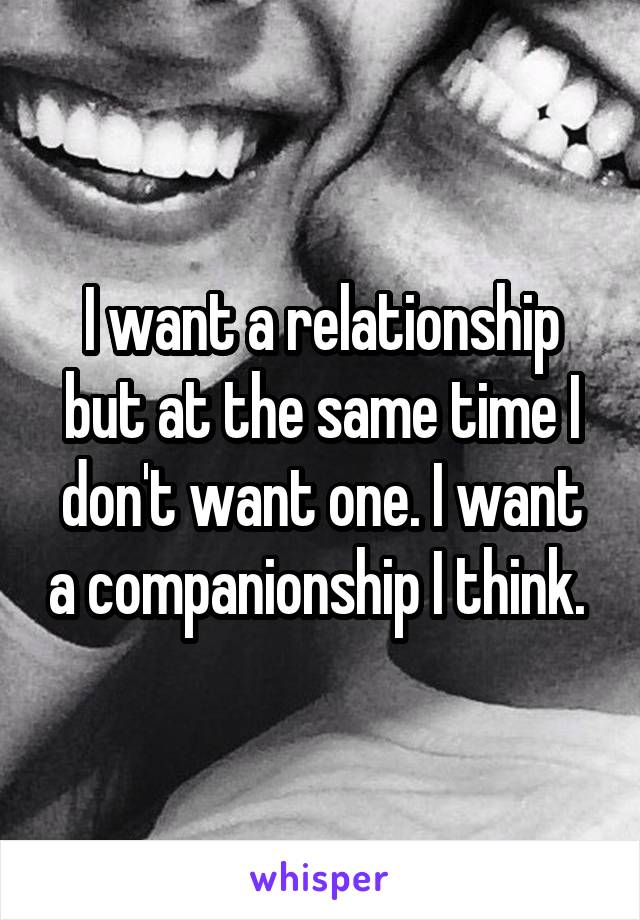 I want a relationship but at the same time I don't want one. I want a companionship I think. 