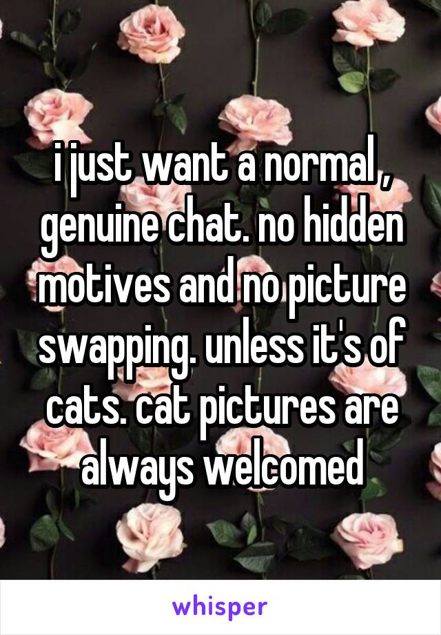 i just want a normal , genuine chat. no hidden motives and no picture swapping. unless it's of cats. cat pictures are always welcomed