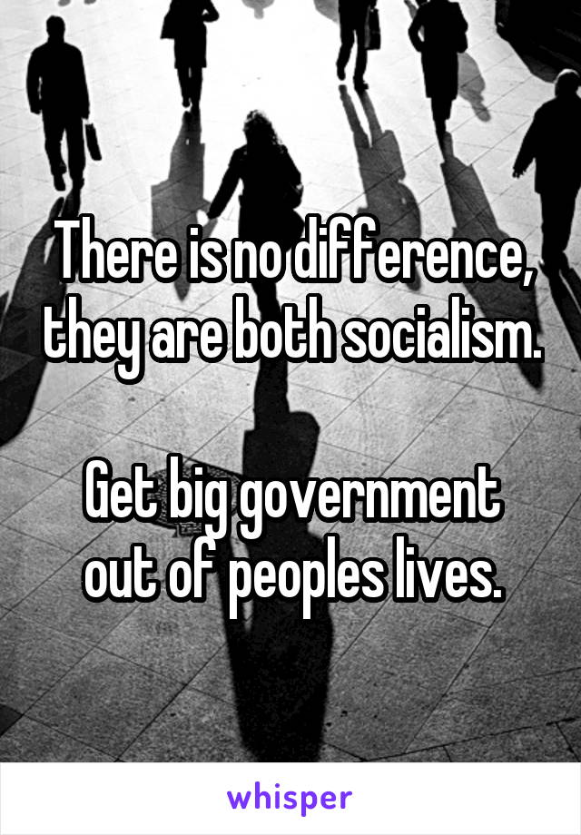 There is no difference, they are both socialism.

Get big government out of peoples lives.