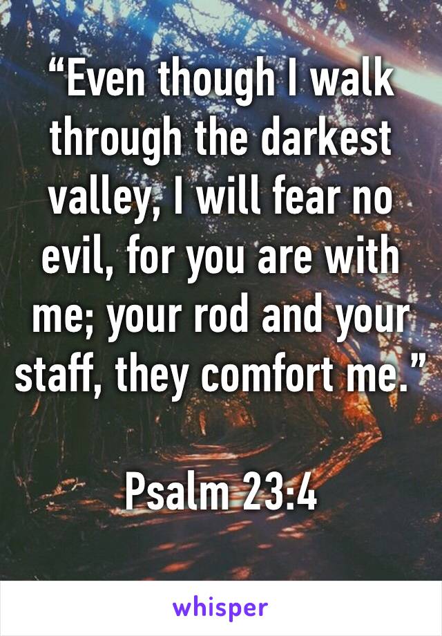 “Even though I walk through the darkest valley, I will fear no evil, for you are with me; your rod and your staff, they comfort me.”

‭‭Psalm‬ ‭23:4‬