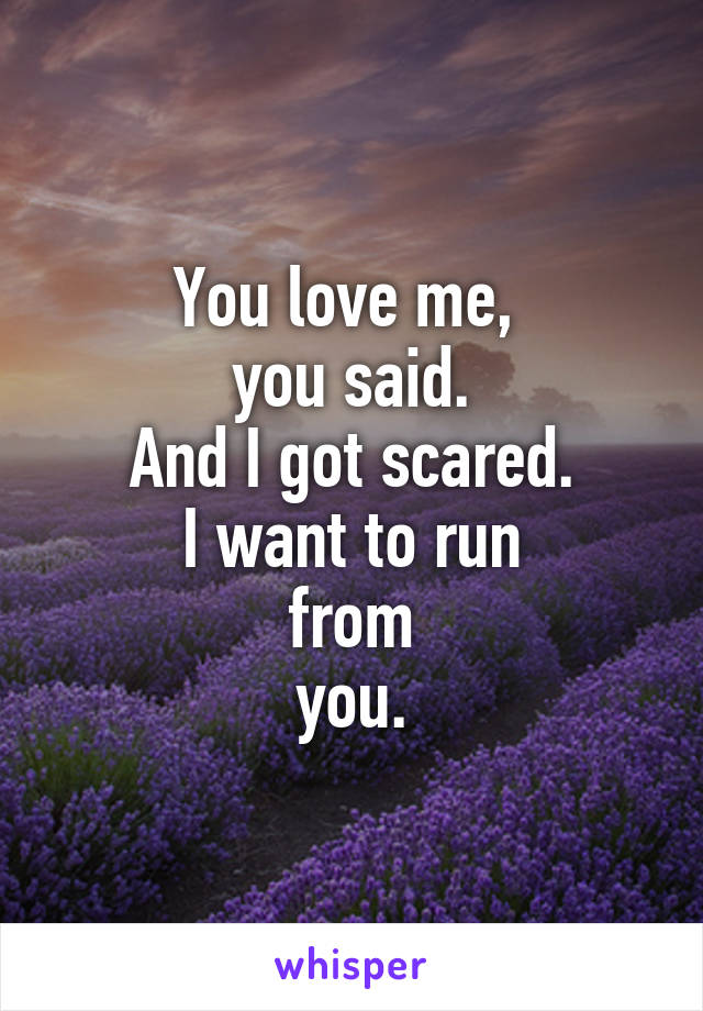 You love me, 
you said.
And I got scared.
I want to run
from
you.