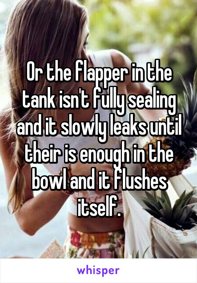 Or the flapper in the tank isn't fully sealing and it slowly leaks until their is enough in the bowl and it flushes itself.