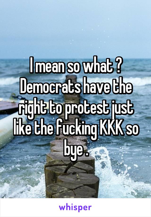 I mean so what ? Democrats have the right to protest just like the fucking KKK so bye .