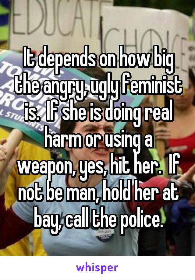 It depends on how big the angry, ugly feminist is.  If she is doing real harm or using a weapon, yes, hit her.  If not be man, hold her at bay, call the police.