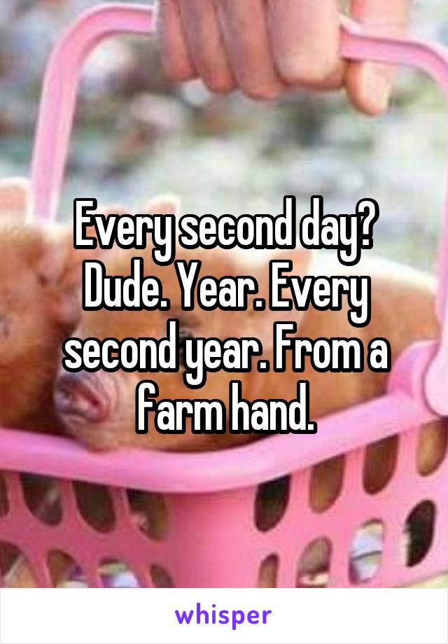 Every second day? Dude. Year. Every second year. From a farm hand.