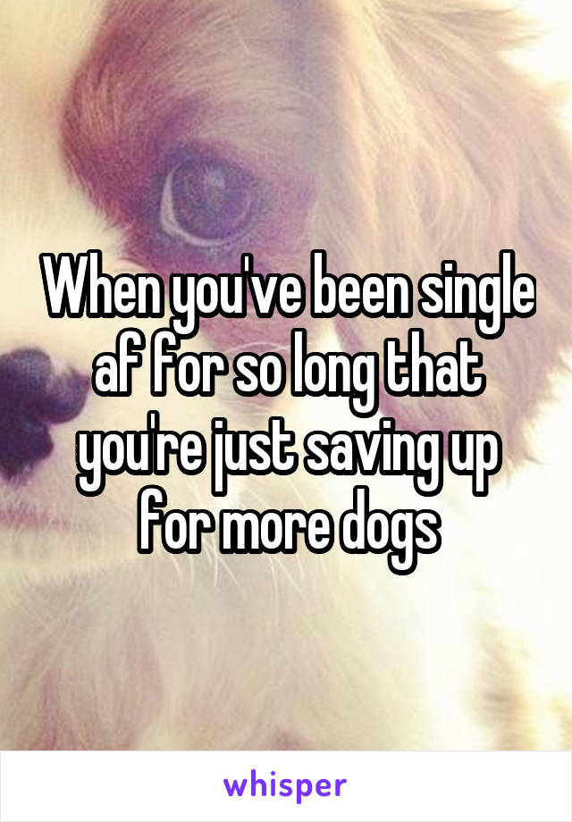 When you've been single af for so long that you're just saving up for more dogs