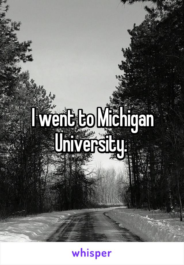 I went to Michigan University. 