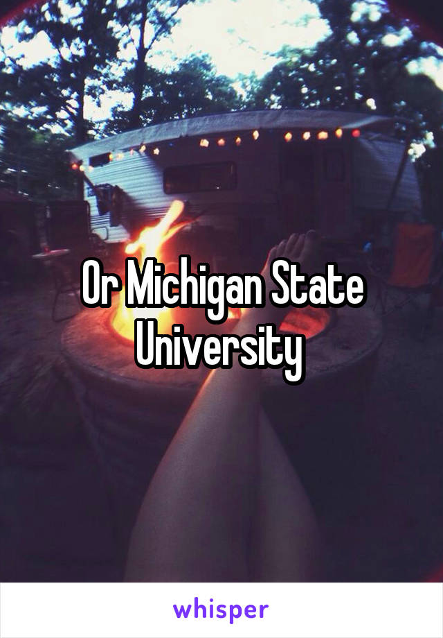 Or Michigan State University 