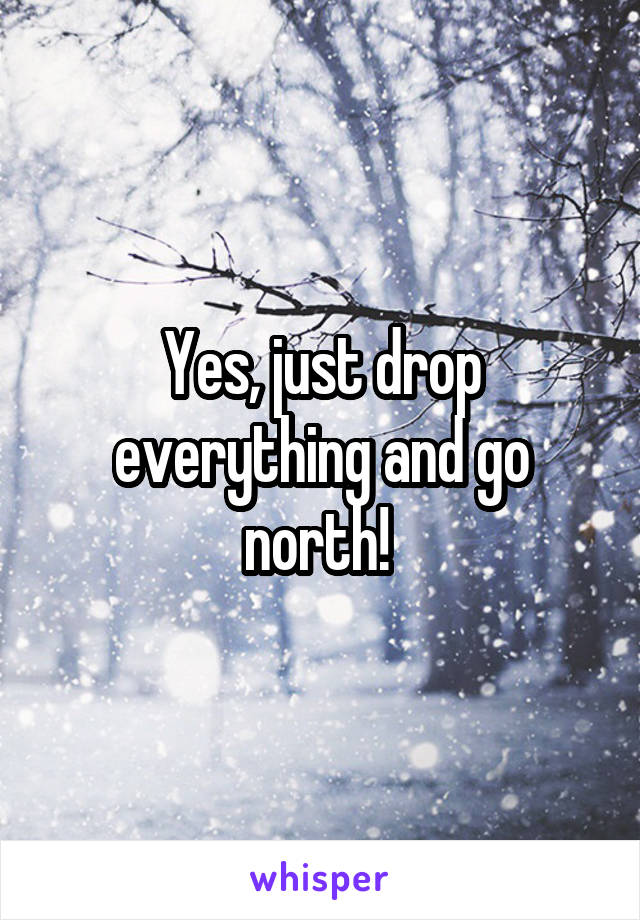 Yes, just drop everything and go north! 