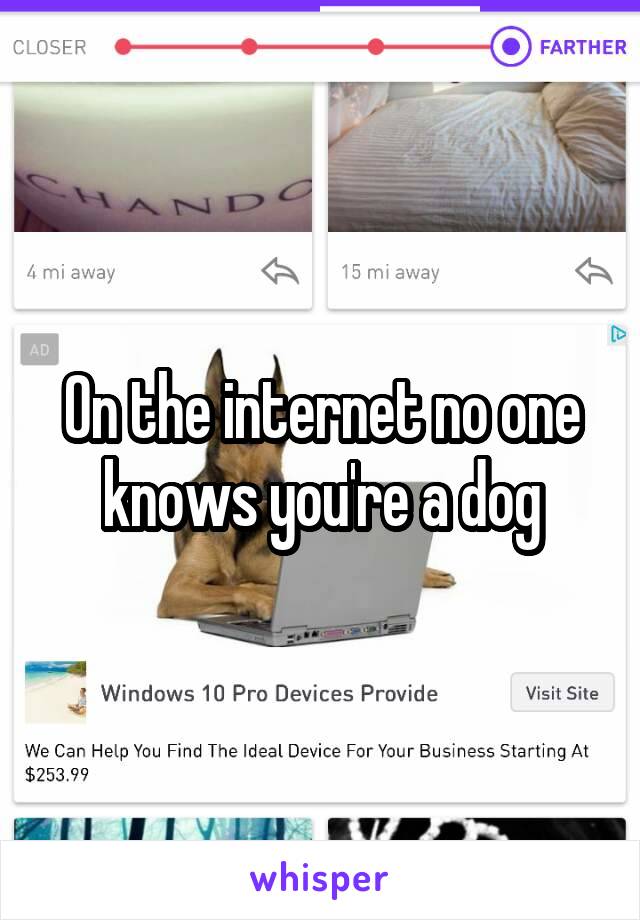 On the internet no one knows you're a dog