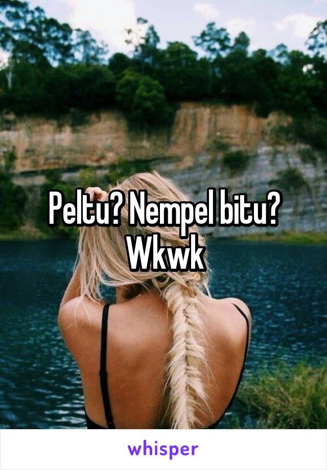 Peltu? Nempel bitu? Wkwk