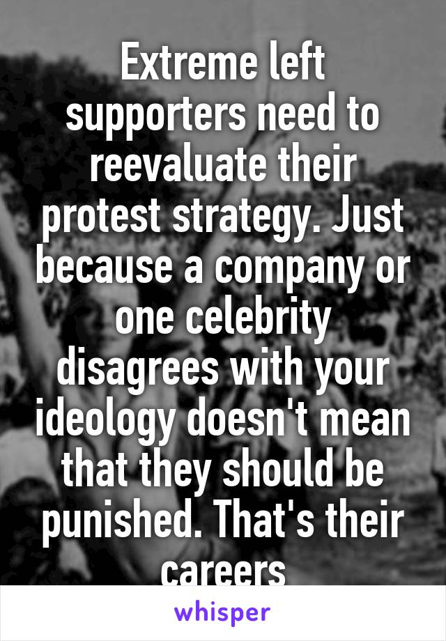 Extreme left supporters need to reevaluate their protest strategy. Just because a company or one celebrity disagrees with your ideology doesn't mean that they should be punished. That's their careers