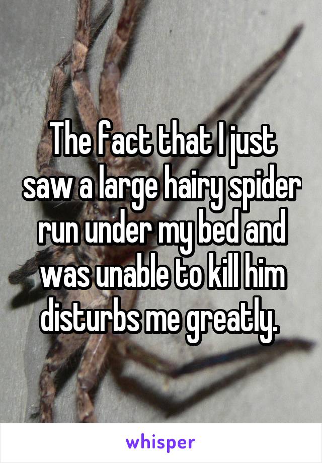 The fact that I just saw a large hairy spider run under my bed and was unable to kill him disturbs me greatly. 