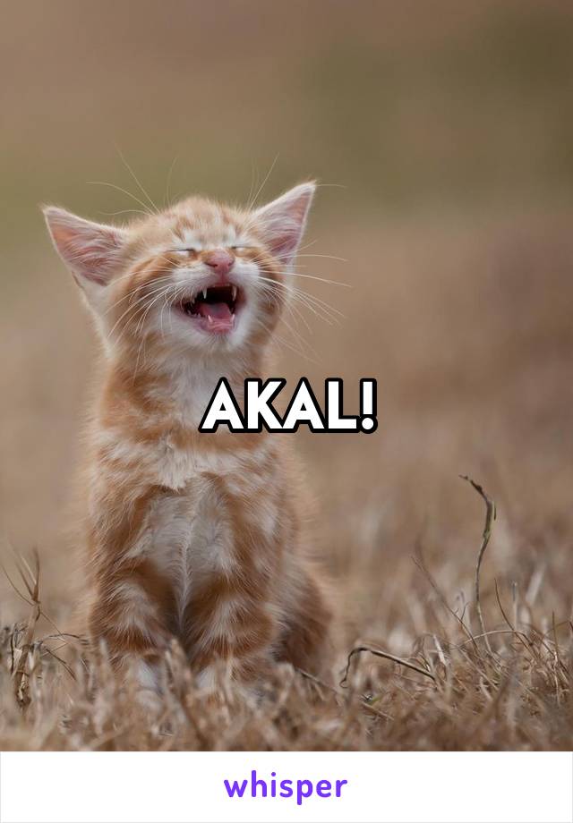 AKAL!