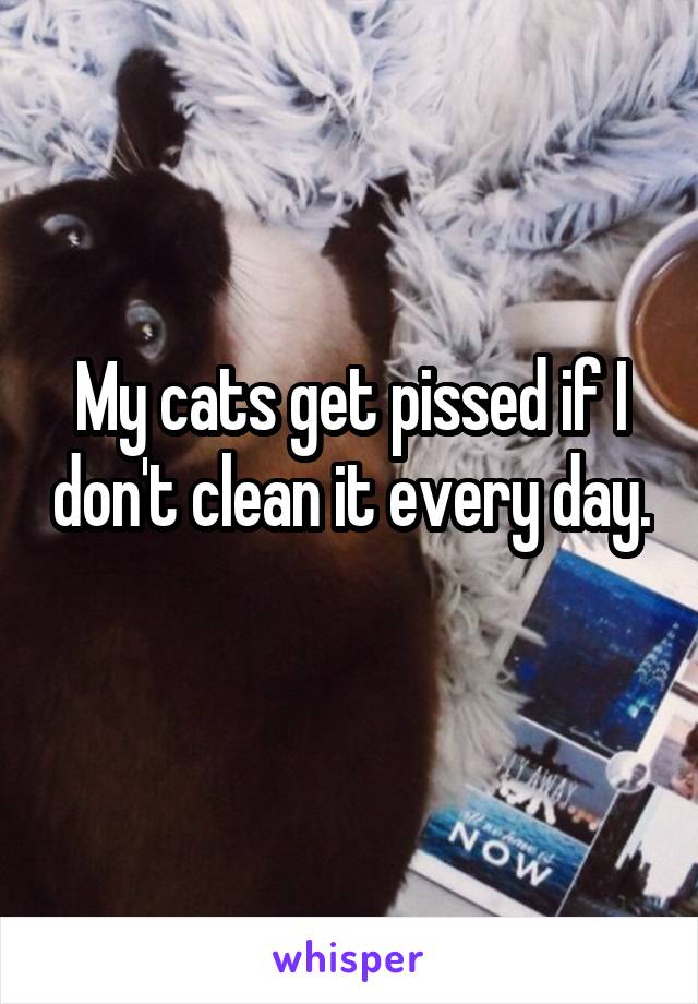 My cats get pissed if I don't clean it every day. 