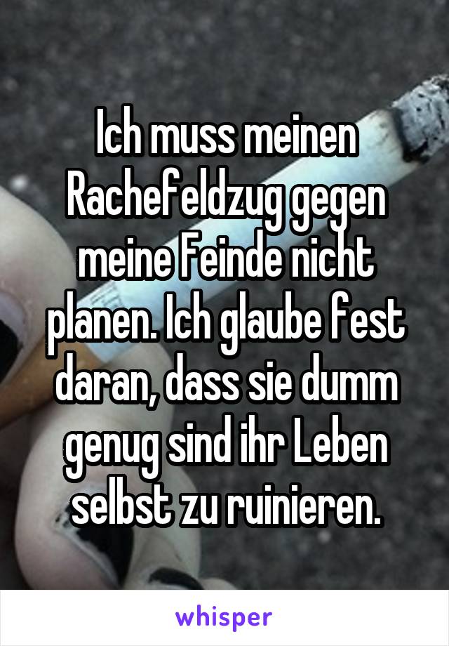 Ich muss meinen Rachefeldzug gegen meine Feinde nicht planen. Ich glaube fest daran, dass sie dumm genug sind ihr Leben selbst zu ruinieren.