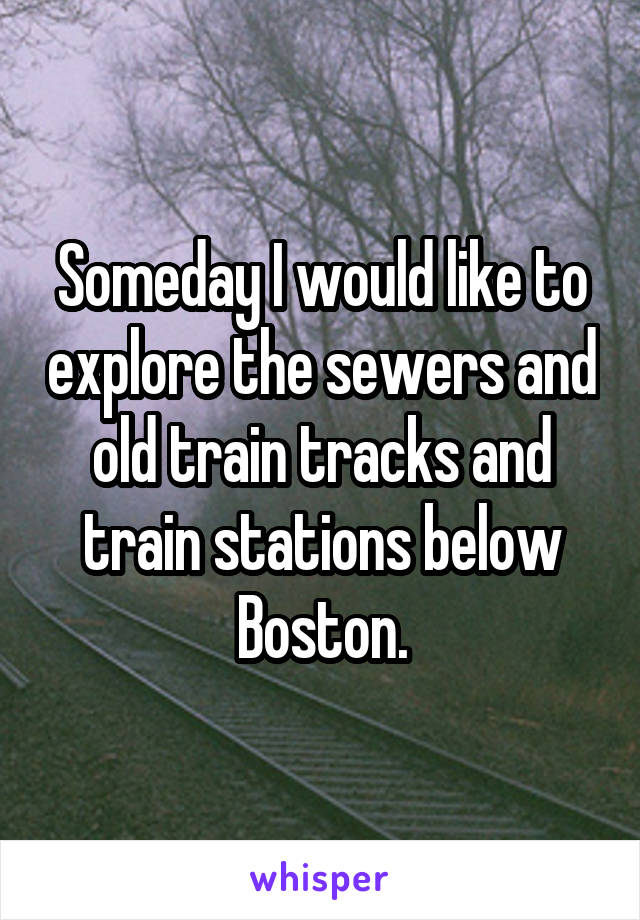 Someday I would like to explore the sewers and old train tracks and train stations below Boston.