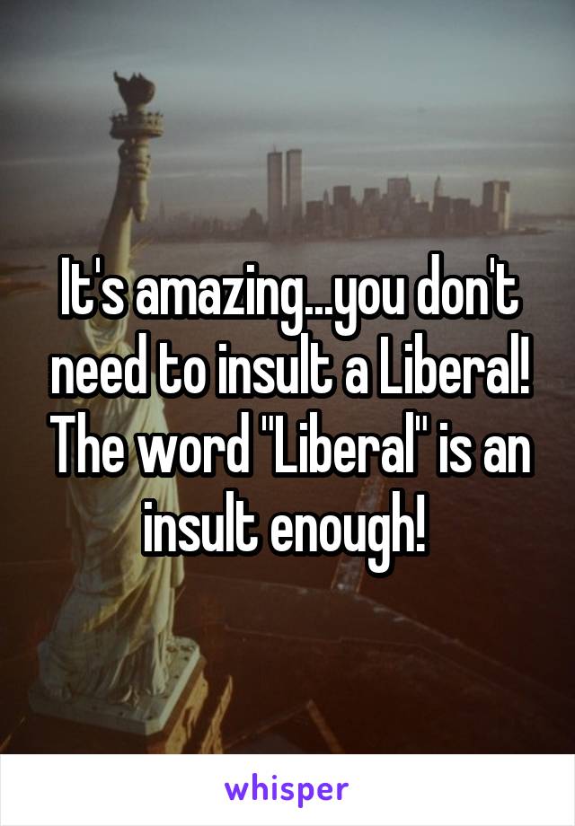 It's amazing...you don't need to insult a Liberal! The word "Liberal" is an insult enough! 