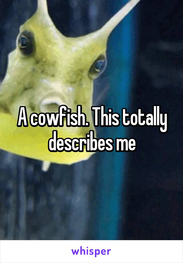 A cowfish. This totally describes me