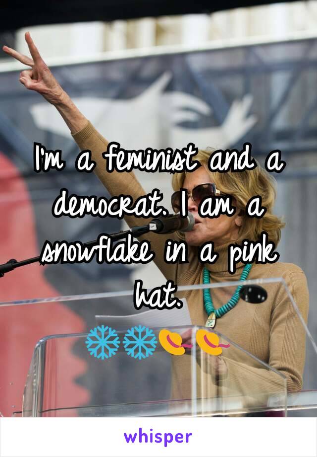 I'm a feminist and a democrat. I am a snowflake in a pink hat.
❄❄👒👒