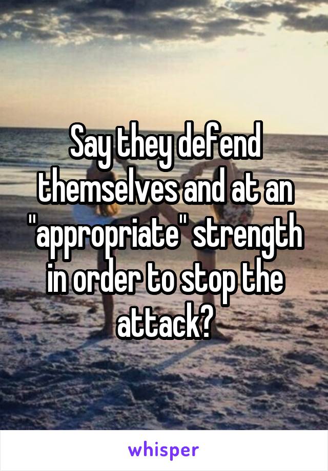 Say they defend themselves and at an "appropriate" strength in order to stop the attack?