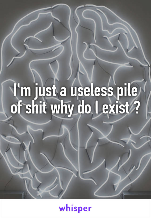 I'm just a useless pile of shit why do I exist ? 