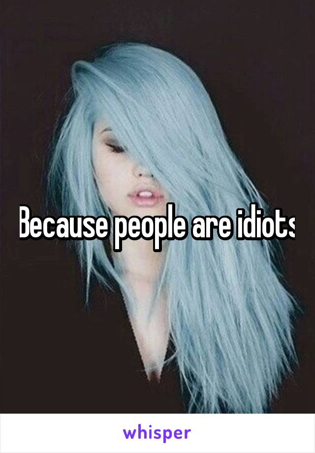 Because people are idiots