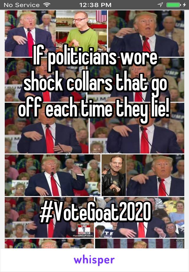 If politicians wore shock collars that go off each time they lie! 



#VoteGoat2020