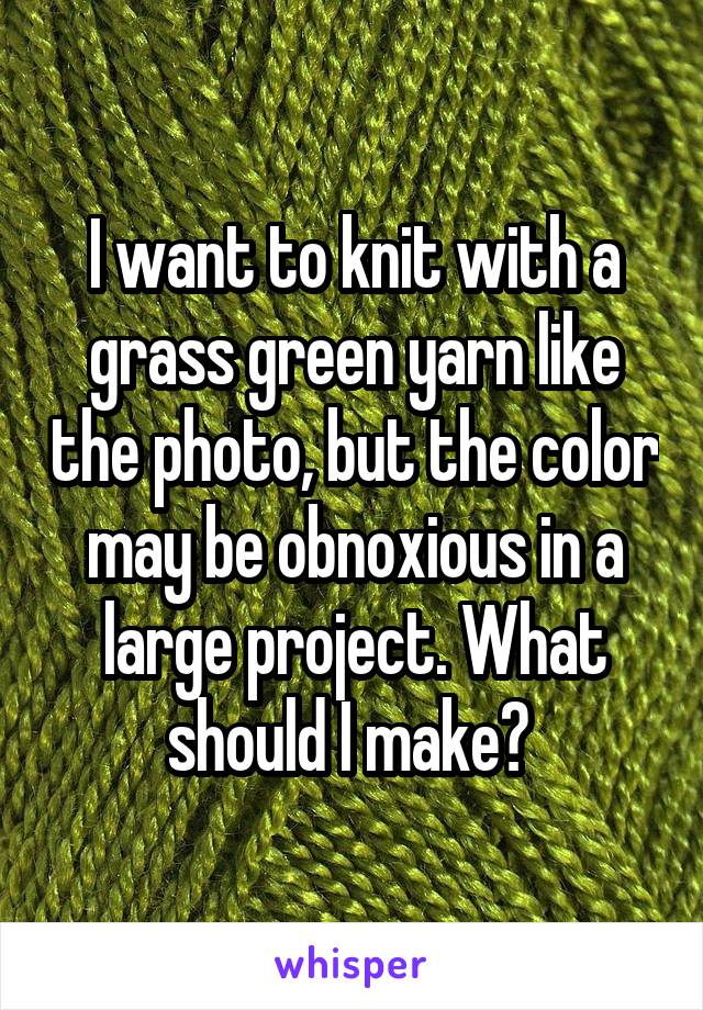 I want to knit with a grass green yarn like the photo, but the color may be obnoxious in a large project. What should I make? 