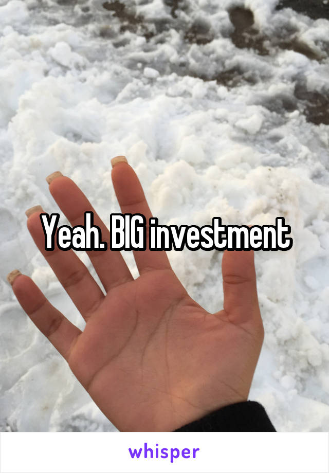 Yeah. BIG investment