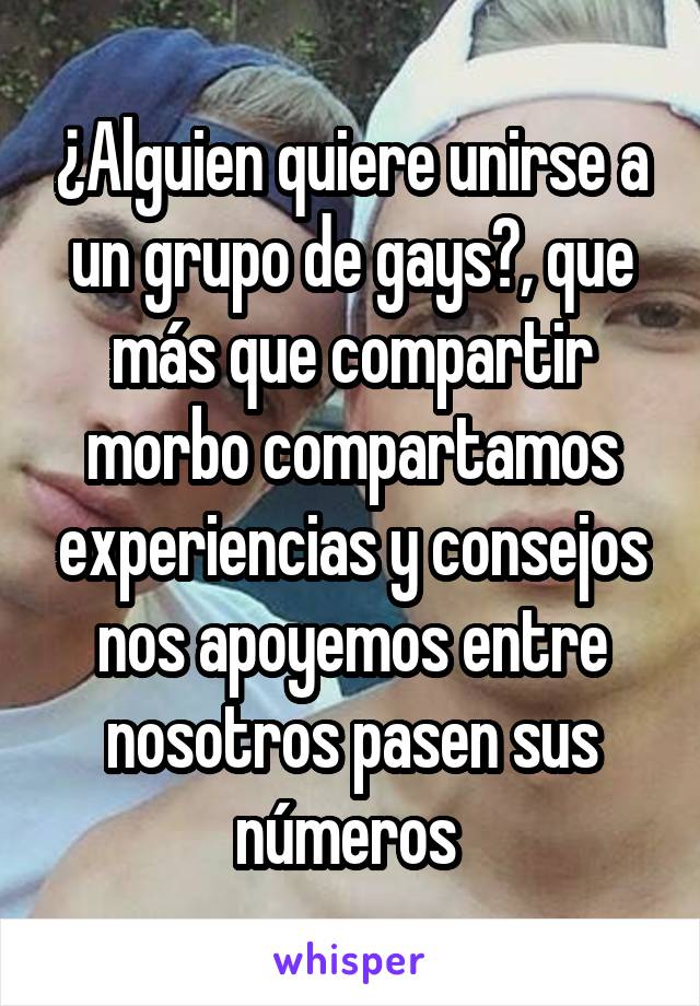 ¿Alguien quiere unirse a un grupo de gays?, que más que compartir morbo compartamos experiencias y consejos nos apoyemos entre nosotros pasen sus números 