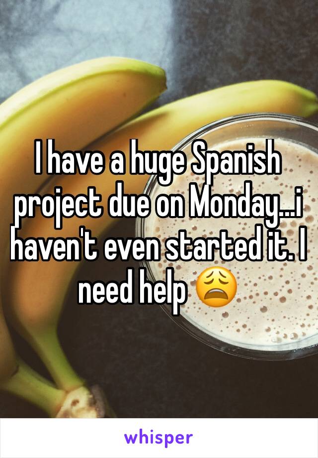 I have a huge Spanish project due on Monday...i haven't even started it. I need help 😩