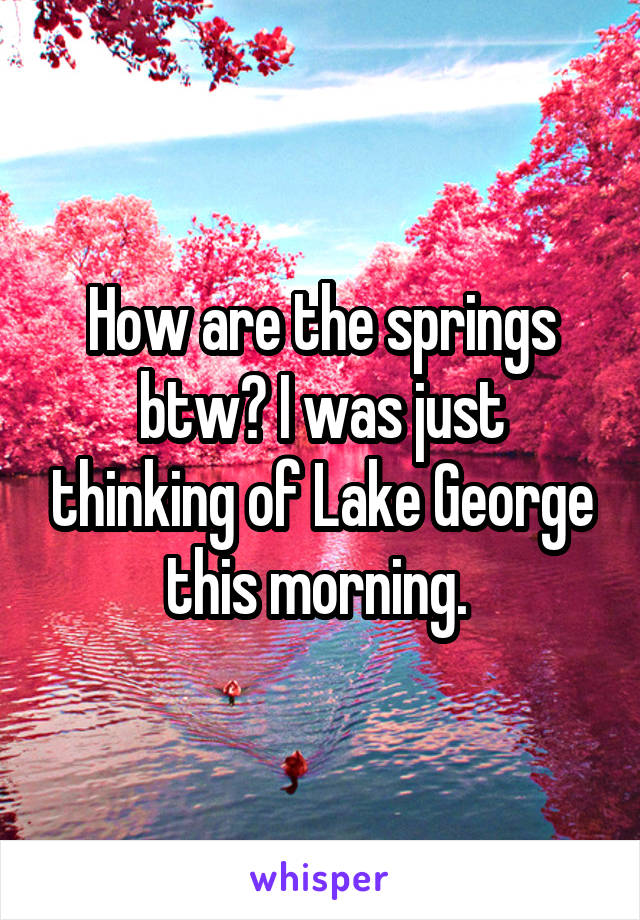 How are the springs btw? I was just thinking of Lake George this morning. 