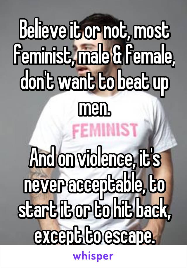 Believe it or not, most feminist, male & female, don't want to beat up men.

And on violence, it's never acceptable, to start it or to hit back, except to escape.