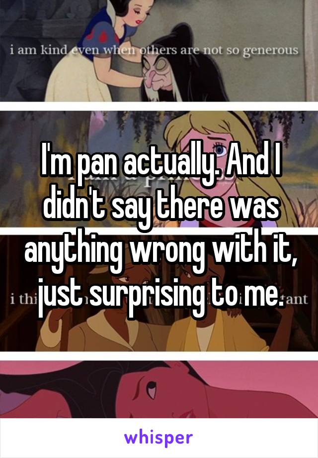 I'm pan actually. And I didn't say there was anything wrong with it, just surprising to me.