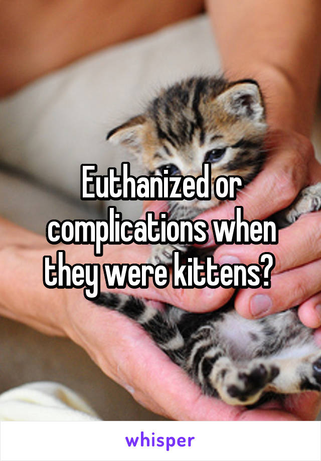 Euthanized or complications when they were kittens? 