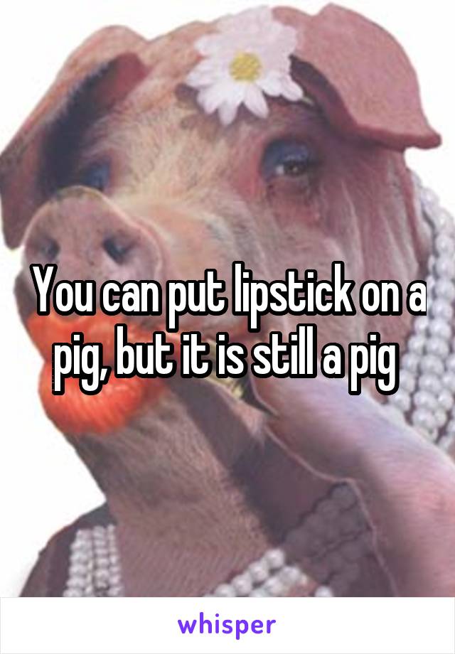 You can put lipstick on a pig, but it is still a pig 