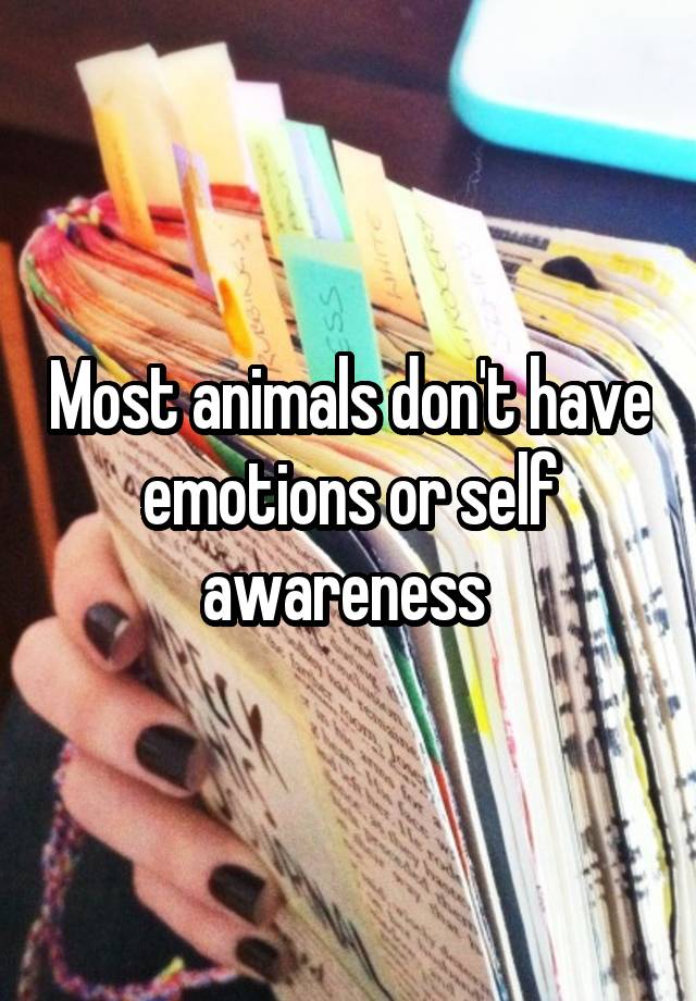 most-animals-don-t-have-emotions-or-self-awareness