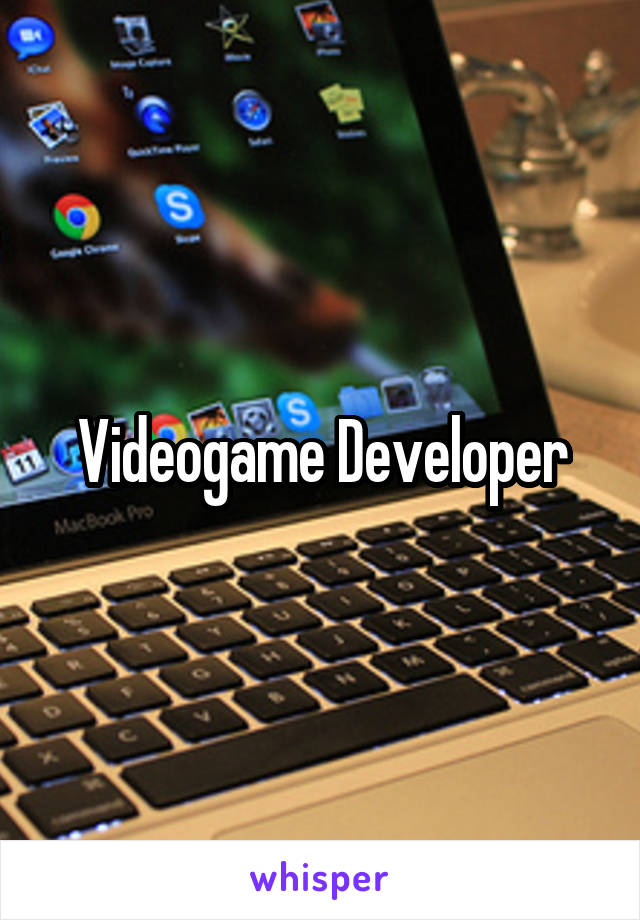 Videogame Developer