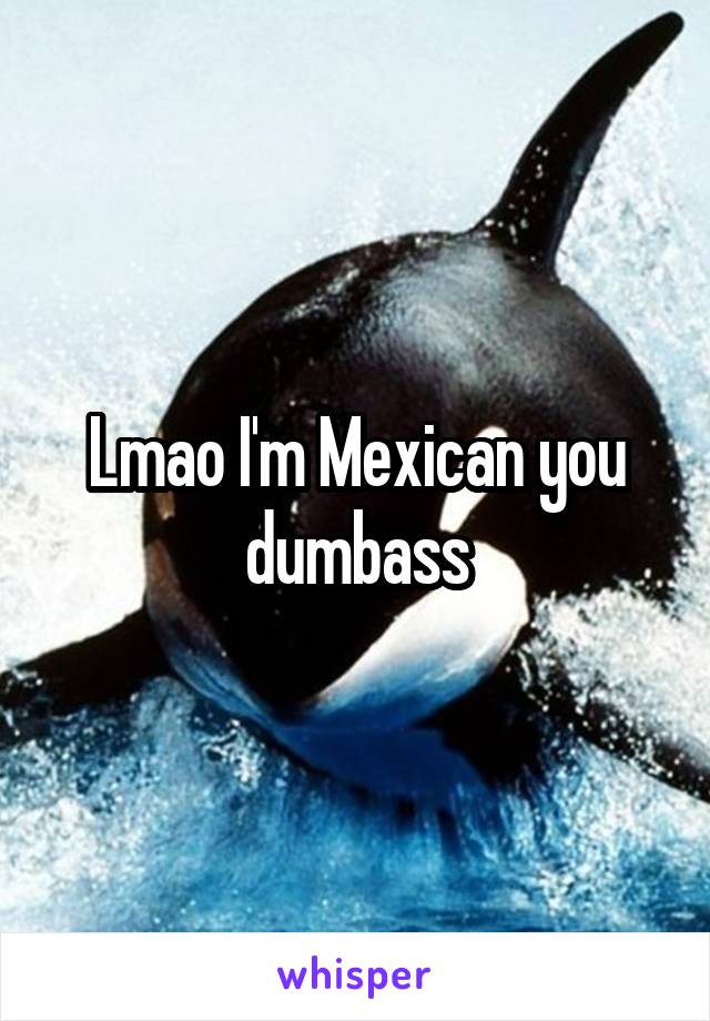 Lmao I'm Mexican you dumbass