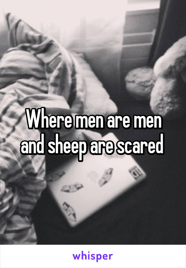 Where men are men and sheep are scared 