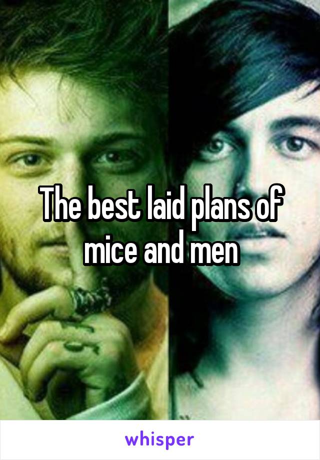 The best laid plans of mice and men