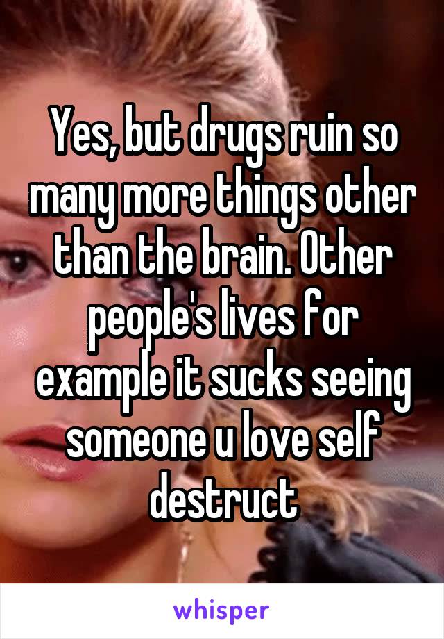 Yes, but drugs ruin so many more things other than the brain. Other people's lives for example it sucks seeing someone u love self destruct