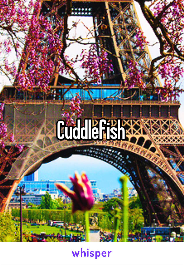Cuddlefish 